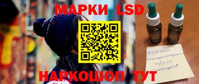 прущие грибы Будённовск