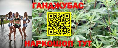 прущие грибы Будённовск