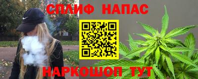 прущие грибы Будённовск