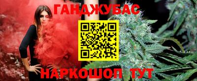 прущие грибы Будённовск