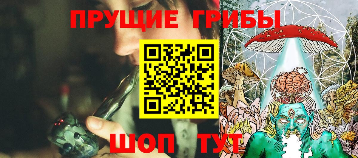 Псилоцибиновые грибы Psilocybe Строитель
